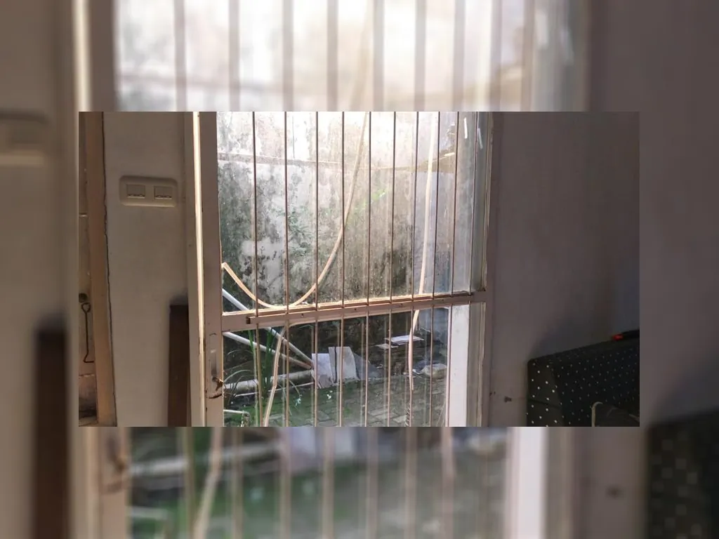 WhatsApp Image 2023-01-12 at 09.47.10.jpeg